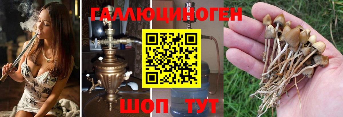 Псилоцибиновые грибы Cubensis  Вход с VPN  Елец  Галлюциногенные грибы Magic Shrooms 