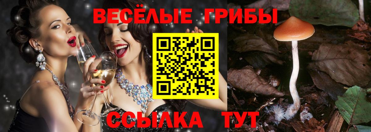 Псилоцибиновые грибы мухоморы Елец